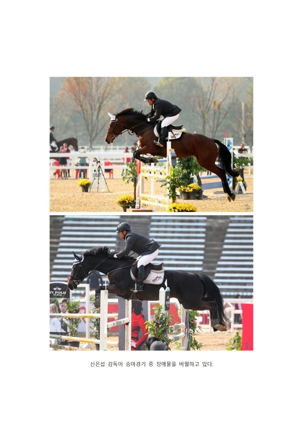 [보도자료] 승마아카데미, 국가대표 신은섭 승마감독 초빙